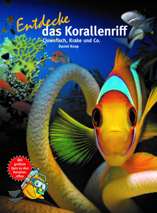 Entdecke das Korallenriff (Daniel Knop)