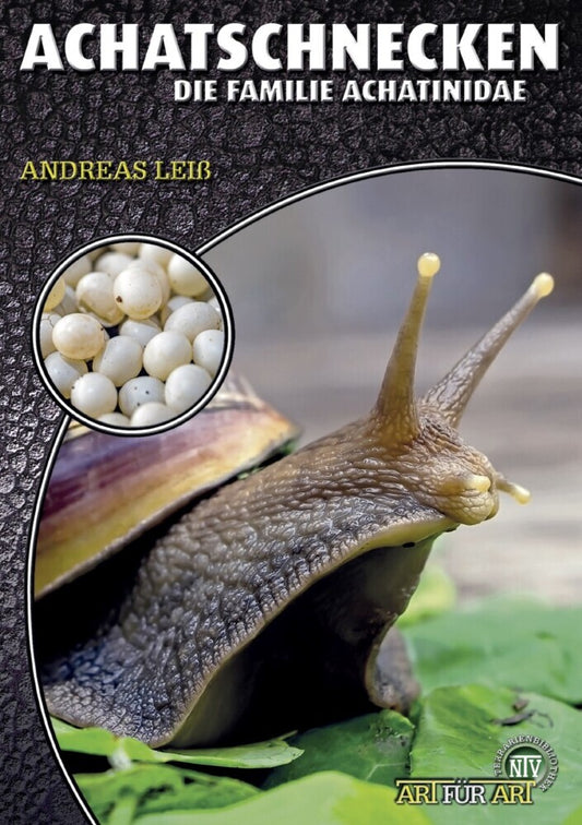 Achatschnecken (Andreas Leiß)
