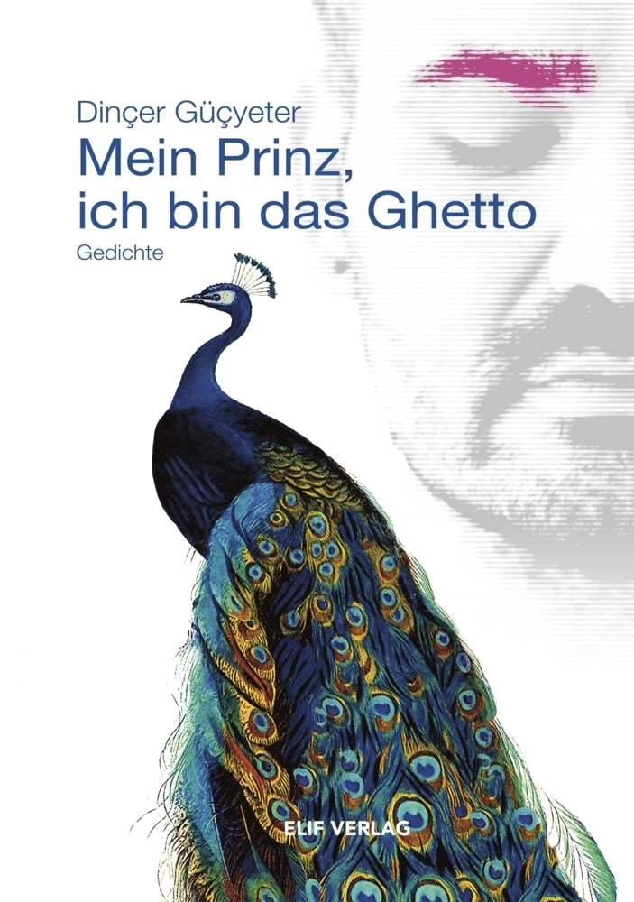 Mein Prinz, ich bin das Ghetto (Dinçer Güçyeter)