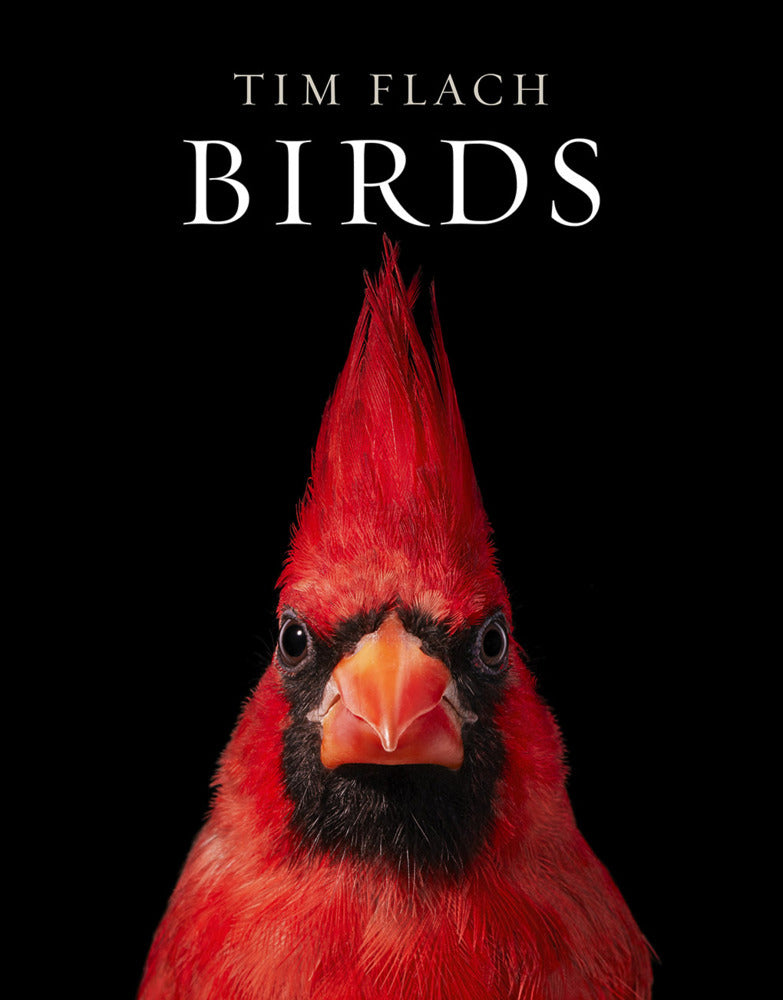 Birds (Tim Flach)