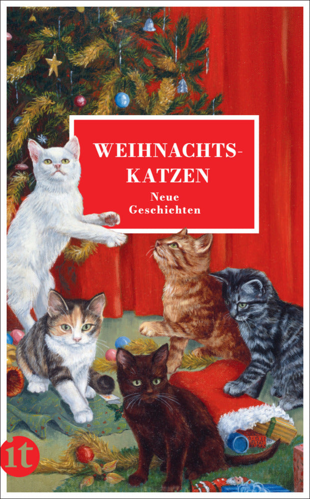 Weihnachtskatzen (Gesine Dammel)