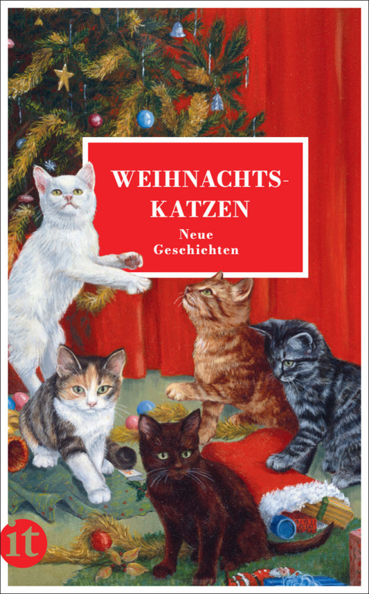 Weihnachtskatzen (Gesine Dammel)