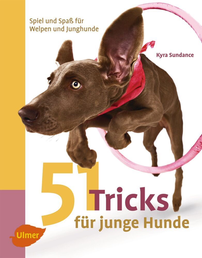 51 Tricks für junge Hunde (Kyra Sundance)