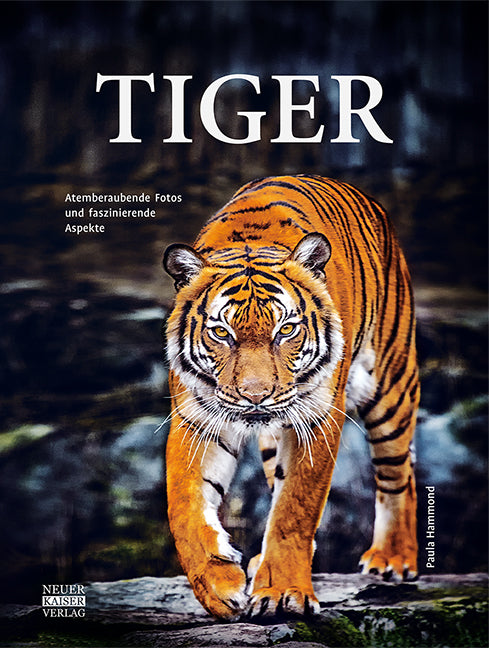 Tiger (Paula Hammond)