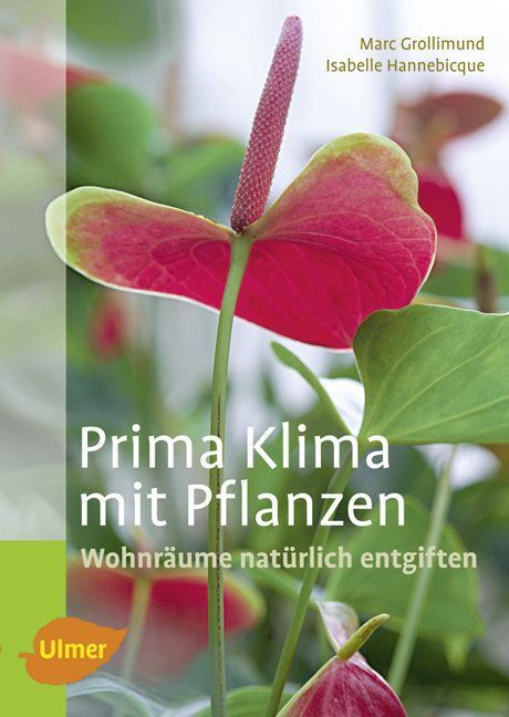 Prima Klima mit Pflanzen (Marc Grollimund)