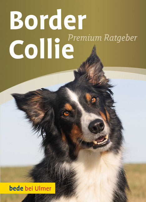 Border Collie (Annette Schmitt)