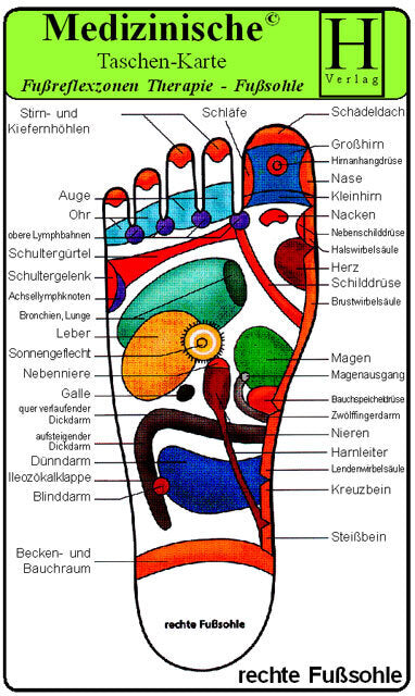 Fussreflexzonen Therapie - Fusssohle- Medizinische Taschen-Karte (Hawelka Hawelka Verlag)