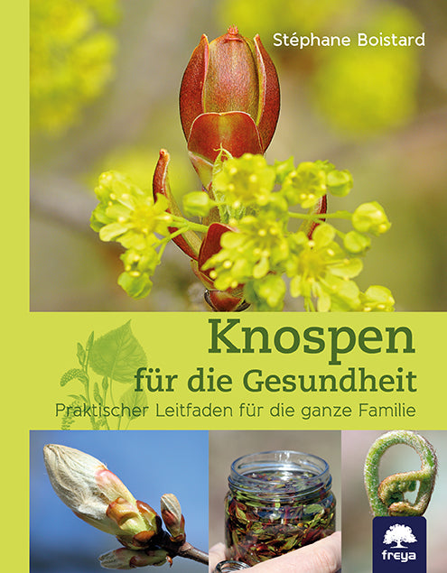 Knospen für die Gesundheit (Stéphane Boistard)