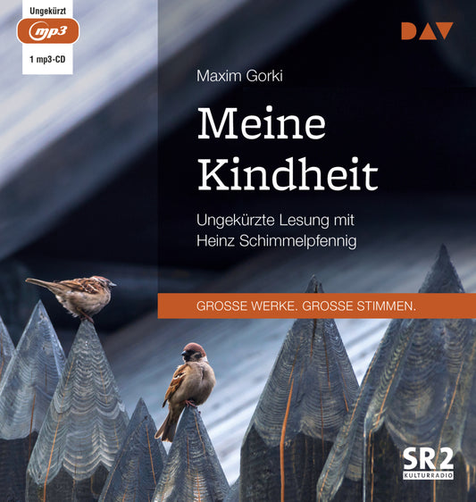Meine Kindheit, 1 Audio-CD, 1 MP3 (Maxim Gorki)