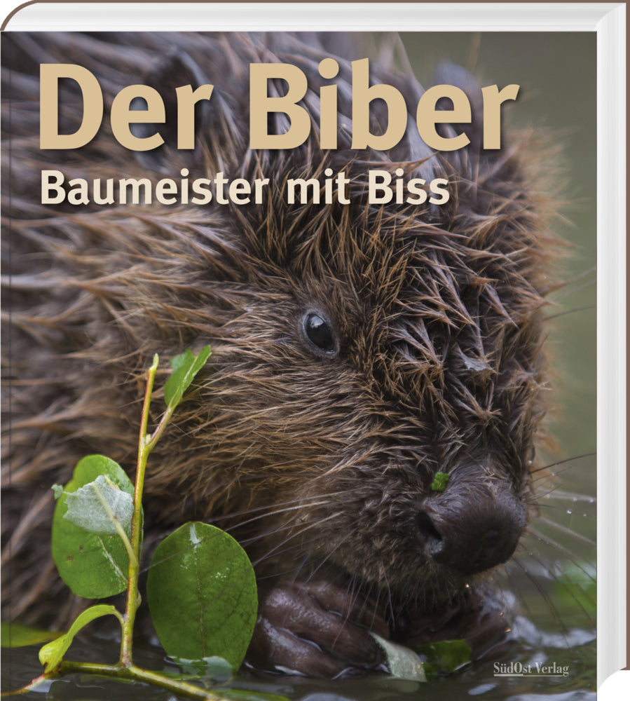 Der Biber (Volker Zahner)