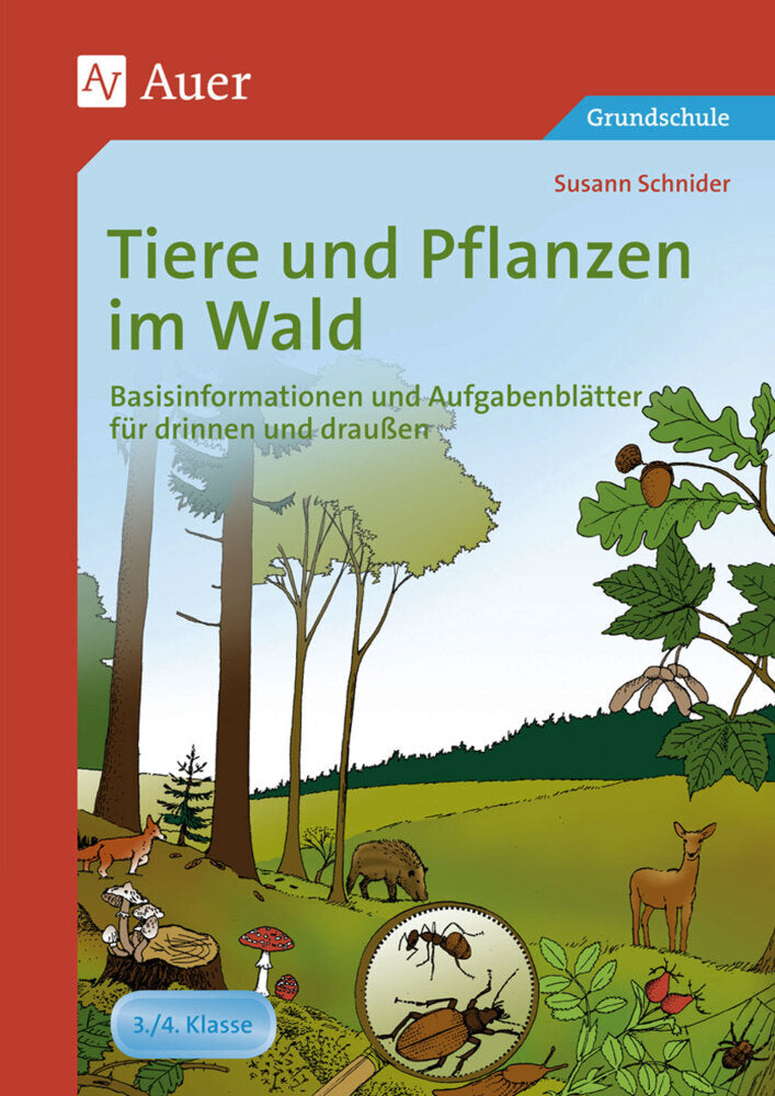 Tiere und Pflanzen im Wald (Susann Schnider)