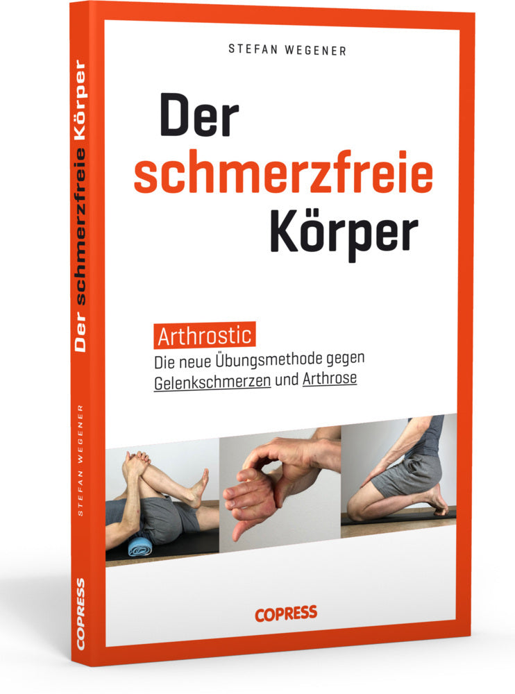 Der schmerzfreie Körper (Stefan Wegener)