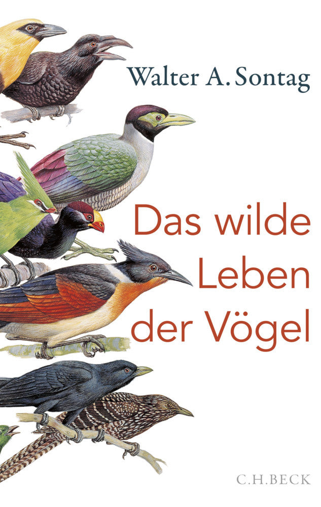Das wilde Leben der Vögel (Walter A. Sontag)