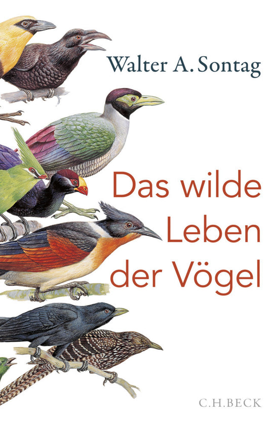 Das wilde Leben der Vögel (Walter A. Sontag)