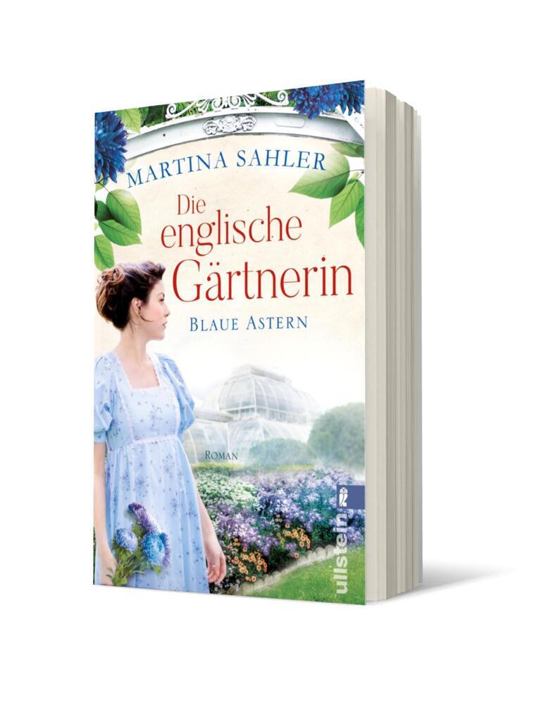 Die englische Gärtnerin - Blaue Astern (Martina Sahler)