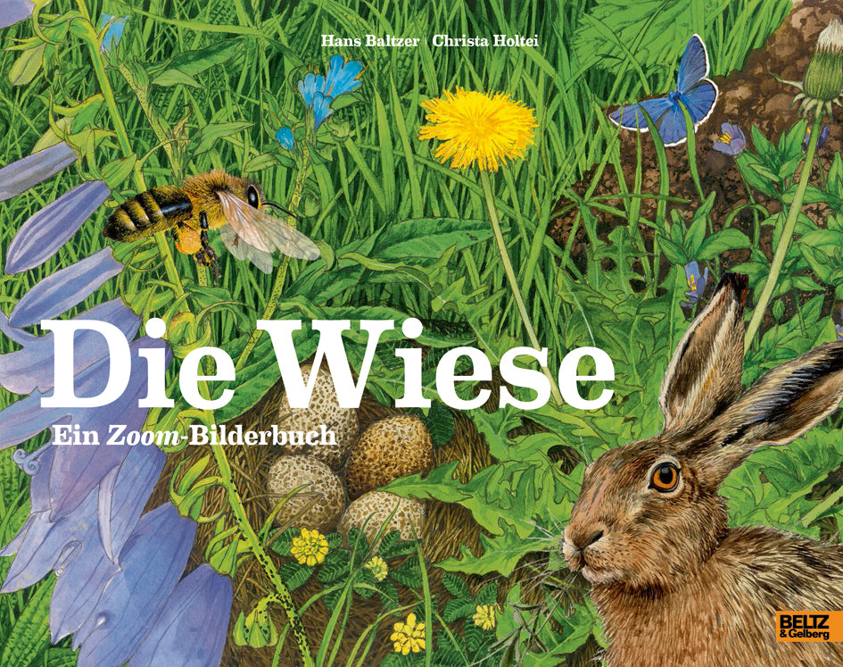 Die Wiese (Hans Baltzer)