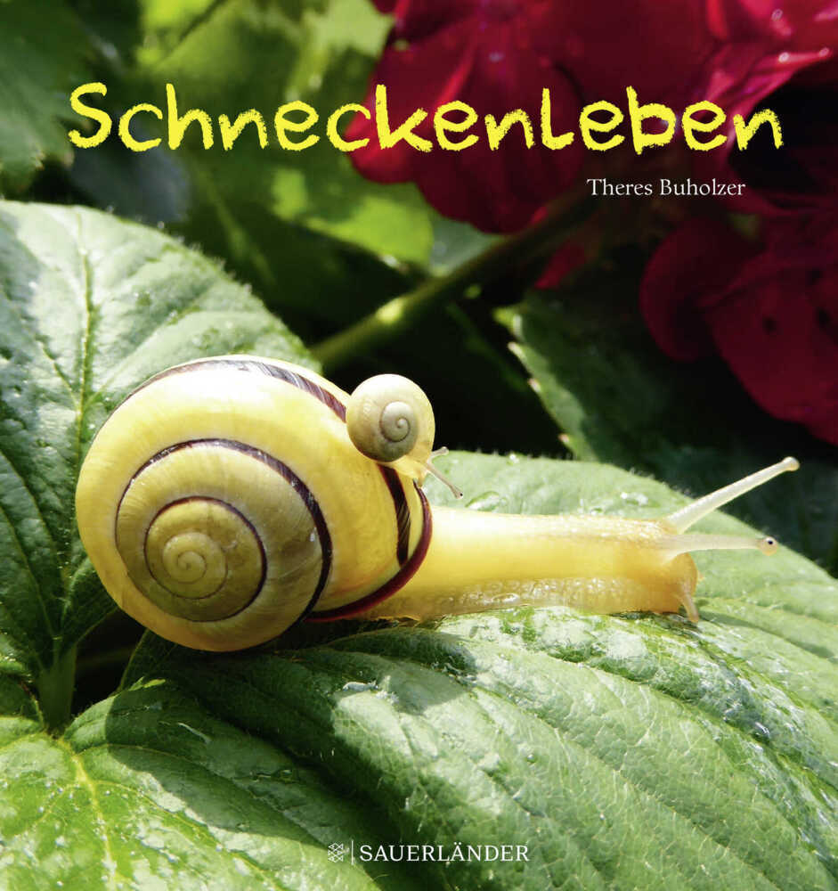 Schneckenleben (Theres Buholzer)