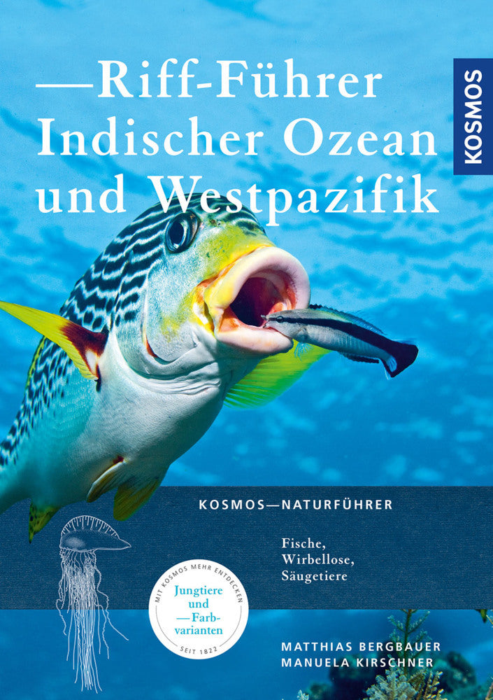 Riff-Führer Indischer Ozean und Westpazifik (Matthias Bergbauer)