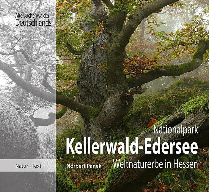 Nationalpark Kellerwald-Edersee (Norbert Panek)