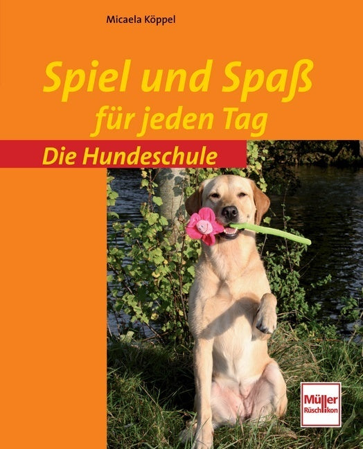Spiel und Spaß für jeden Tag (Micaela Köppel)