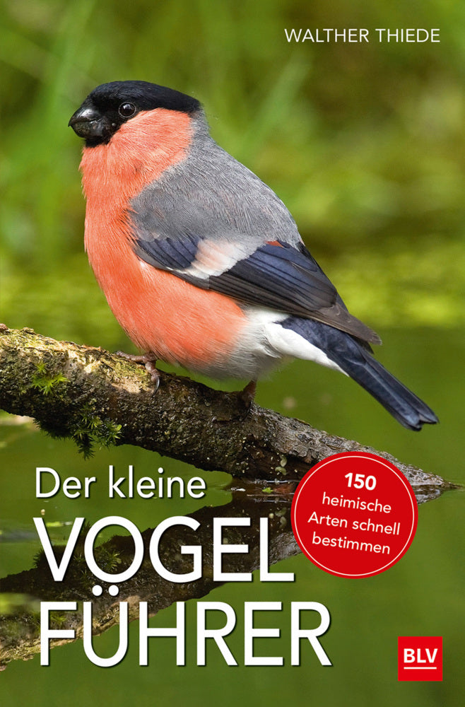Der kleine Vogelführer (Walther Thiede)