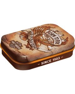 Pillendose "Harley-Davidson - Born to Ride Eagle" (6 x 4 x 1.6 cm)