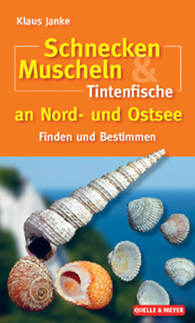 Schnecken, Muscheln & Tintenfische an Nord- und Ostsee (Klaus Janke)