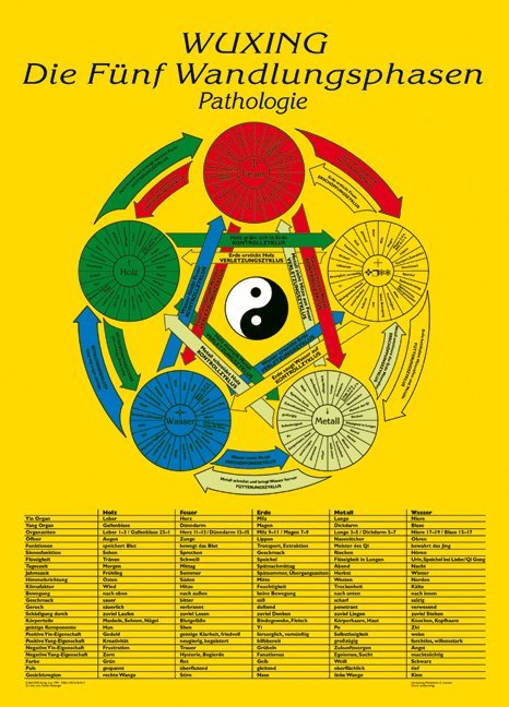 Wuxing Die Fünf Wandlungsphasen - Pathologie, Tafel (Florian Ploberger)