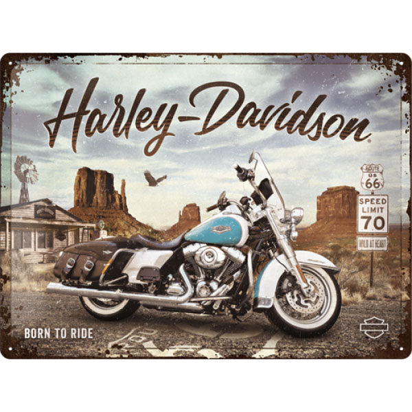 Blechschild Harley-Davidson - Route 66 Road King  (40 x 30 cm)