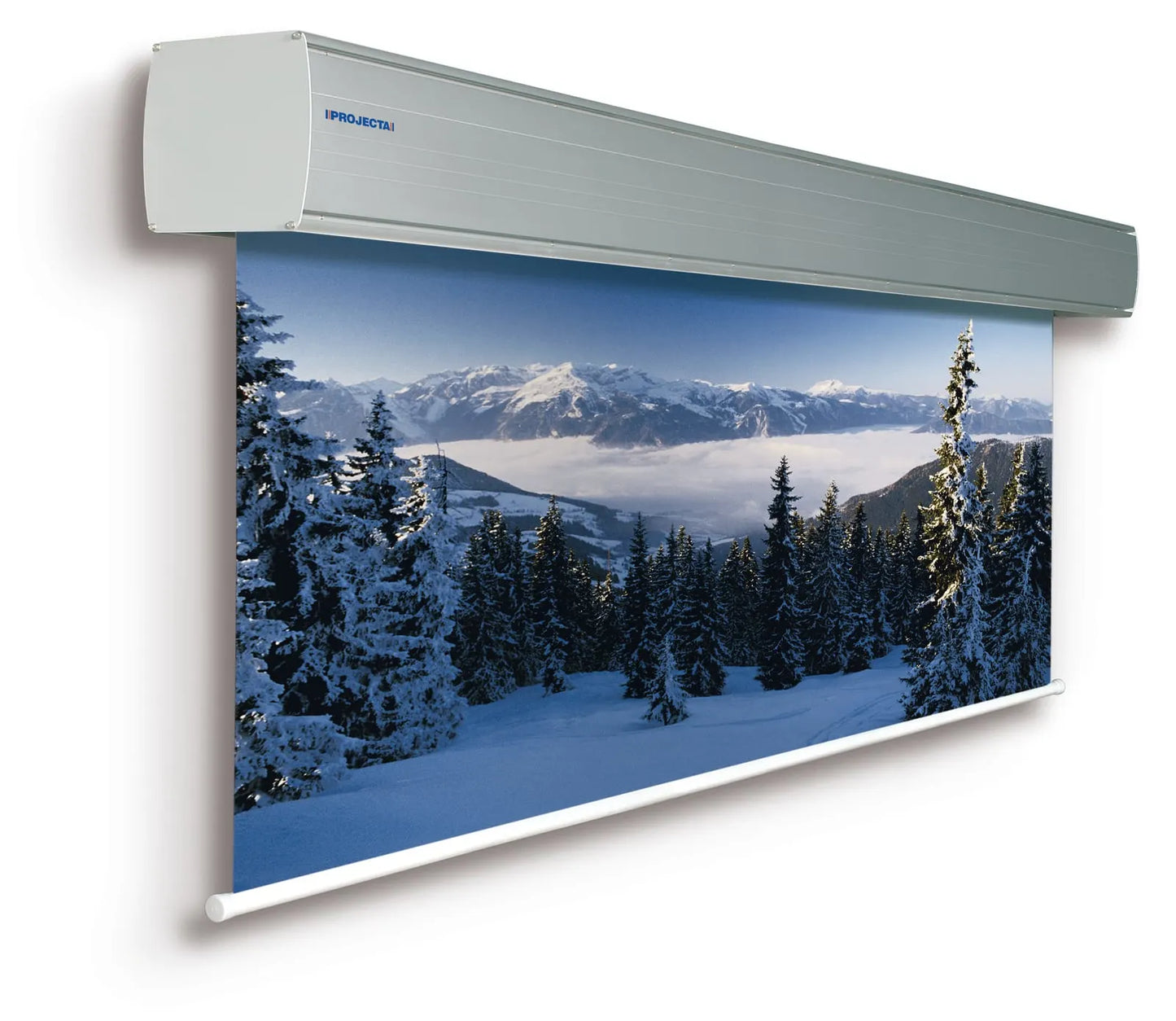 Da-Lite Leinwand "Giantscreen EL" (650 x 407 cm, 301.97", 16:10)