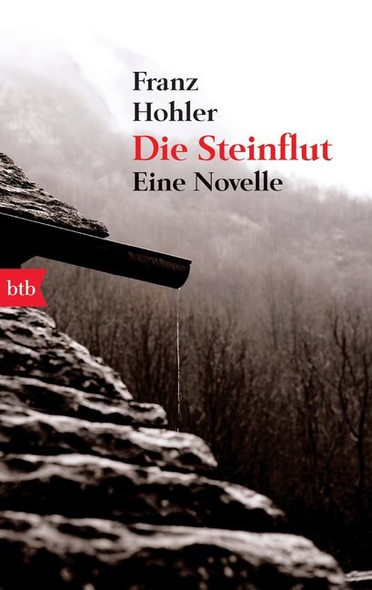 Die Steinflut (Franz Hohler)