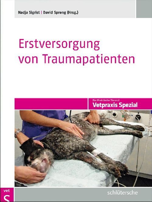 Erstversorgung von Traumapatienten (Nadja Sigrist)