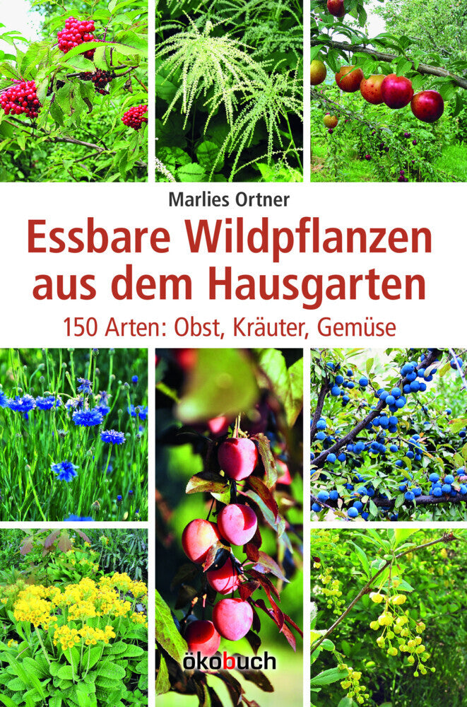 Essbare Wildpflanzen aus dem Hausgarten (Marlies Ortner)