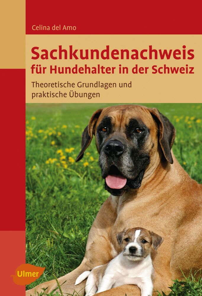 Sachkundenachweis für Hundehalter in der Schweiz (Celina Del Amo)