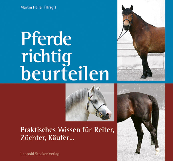 Pferde richtig beurteilen (Martin Haller)