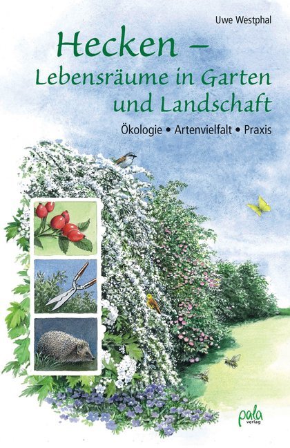 Hecken - Lebensräume in Garten und Landschaft (Uwe Westphal)