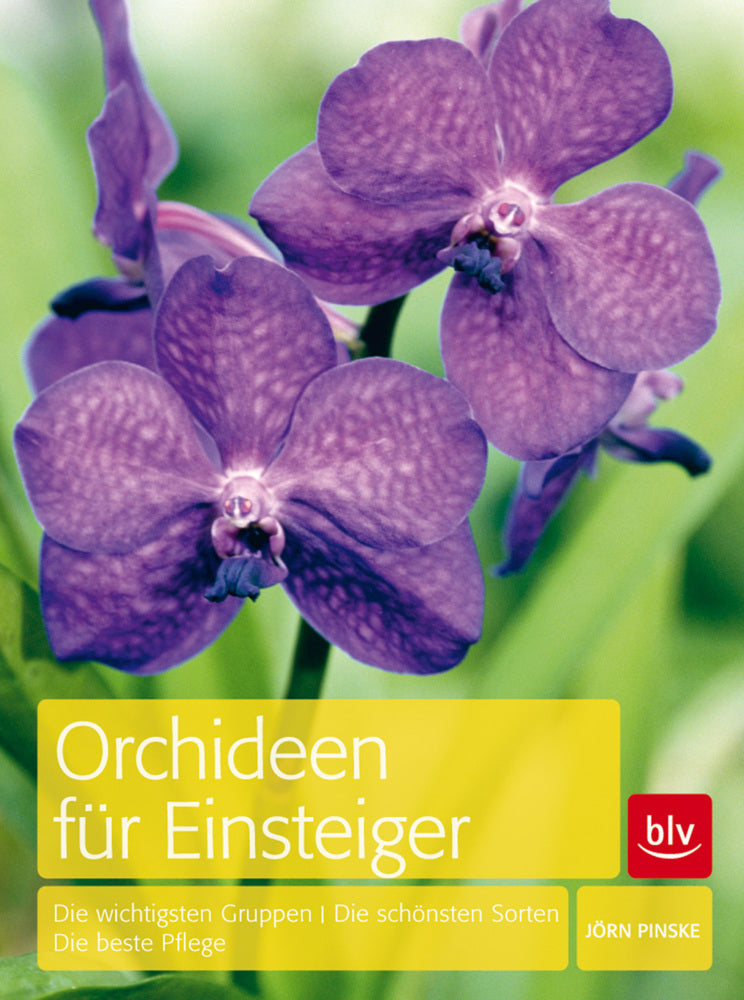 Orchideen für Einsteiger (Jörn Pinske)