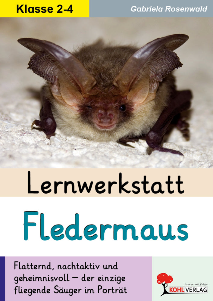 Lernwerkstatt Die Fledermaus (Gabriela Rosenwald)