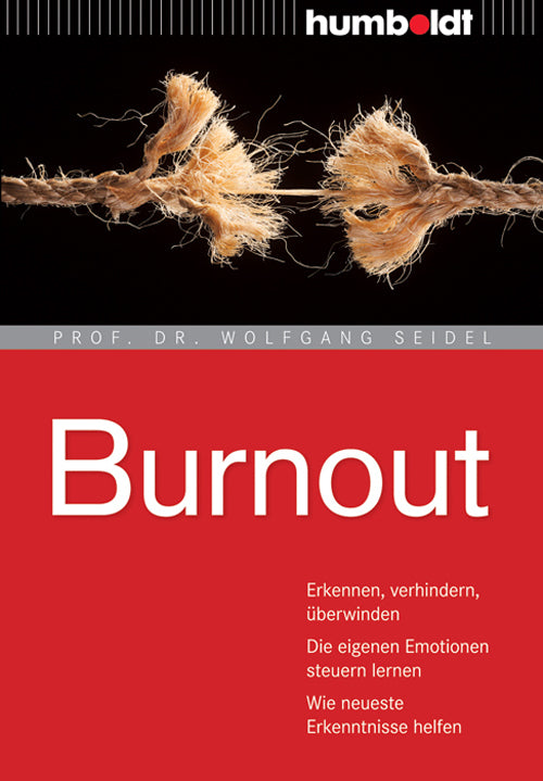 Burnout (Wolfgang Seidel)