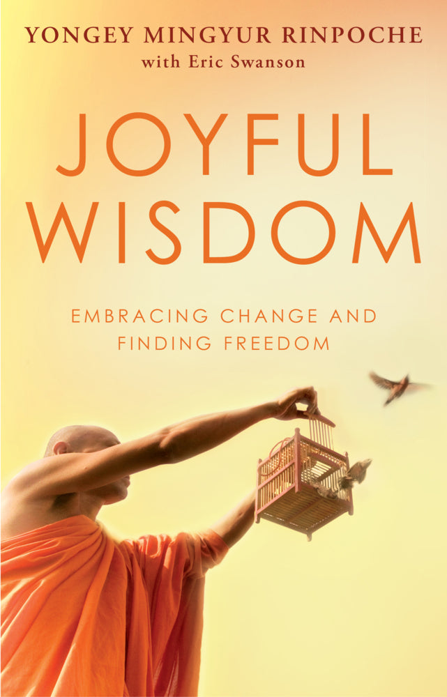 Joyful Wisdom (Yongey Mingyur Rinpoche)