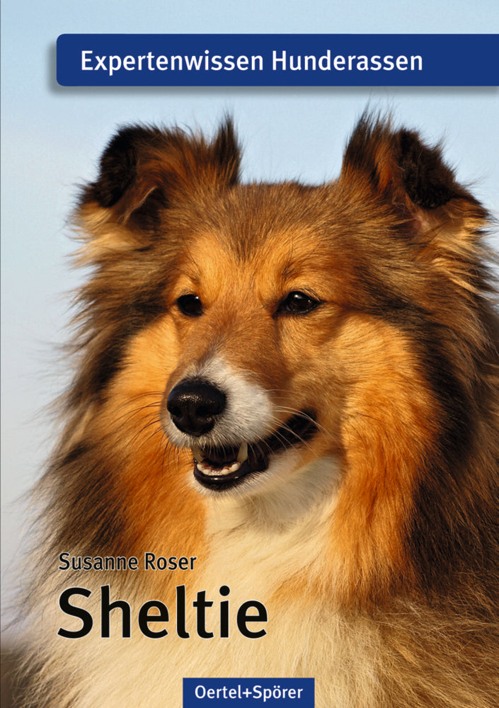 Sheltie (Susanne Roser)
