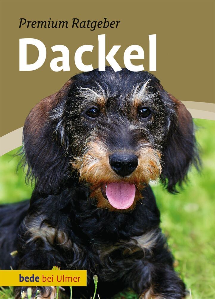 Dackel (Annette Schmitt)