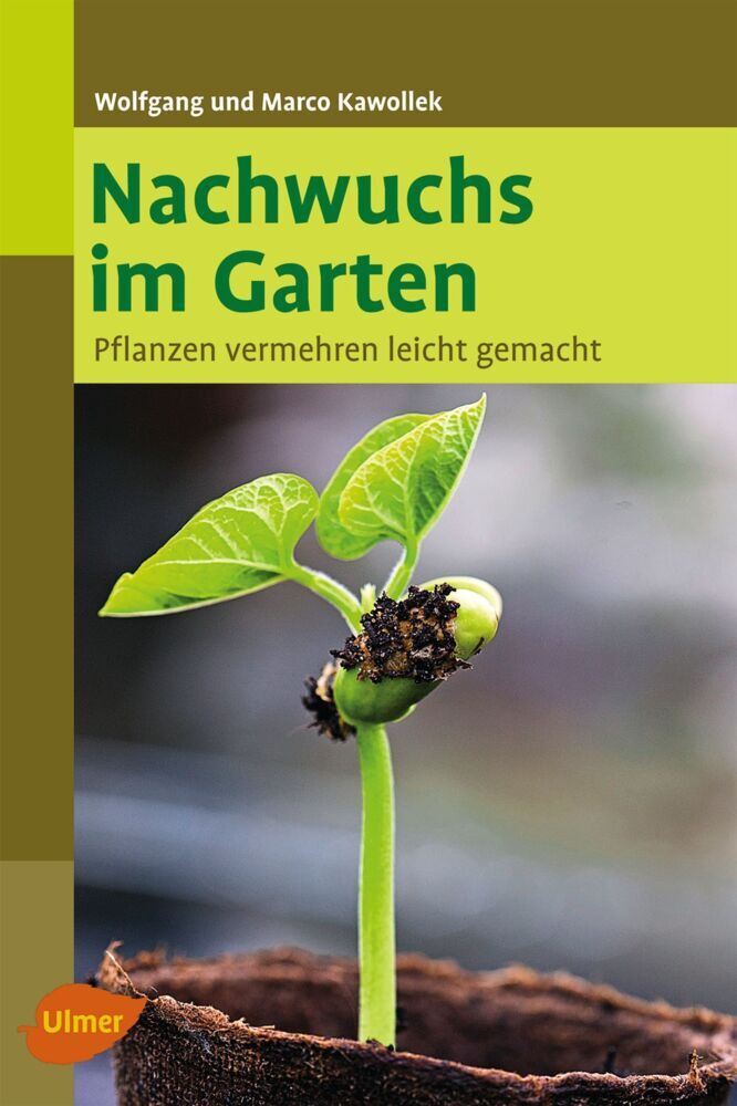Nachwuchs im Garten (Wolfgang Kawollek)