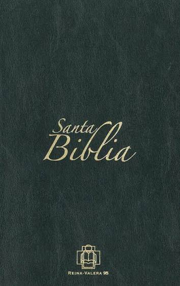 Santa Biblia - Bibel Spanisch - Reina Valera 1960