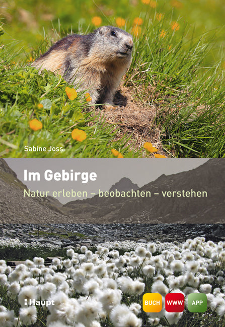 Im Gebirge (Sabine Joss)