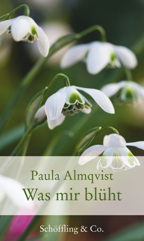 Was mir blüht (Paula Almqvist)