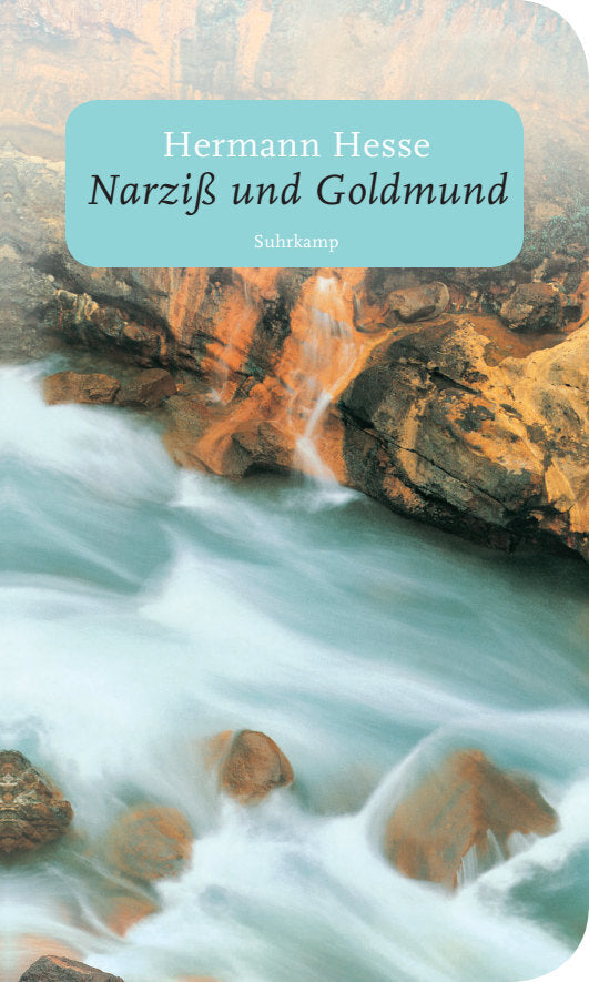 Narziß und Goldmund (Hermann Hesse)