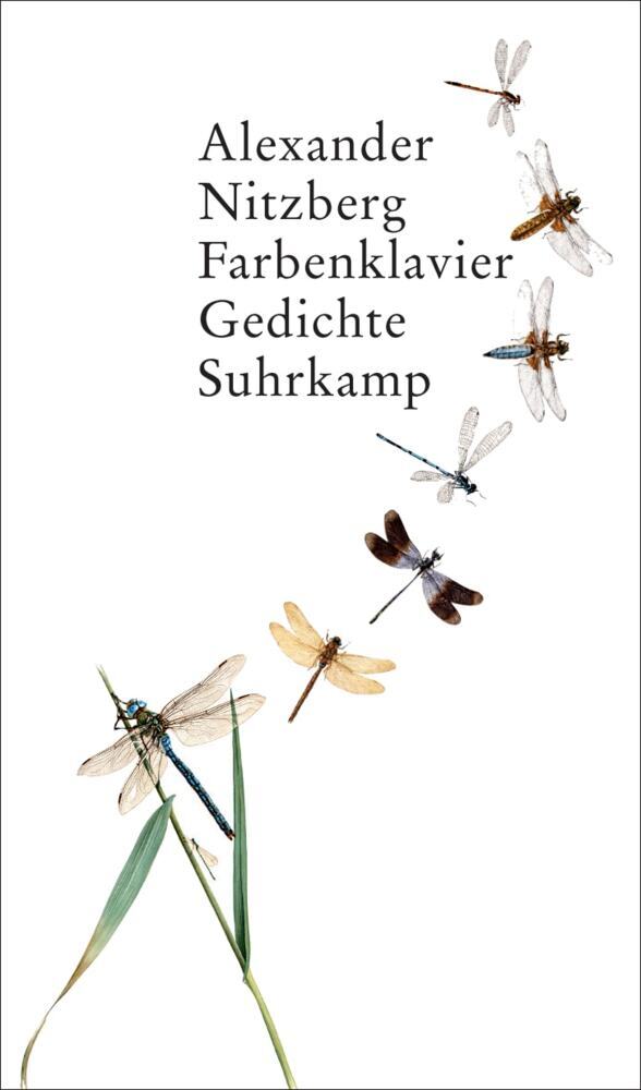 Farbenklavier (Alexander Nitzberg)