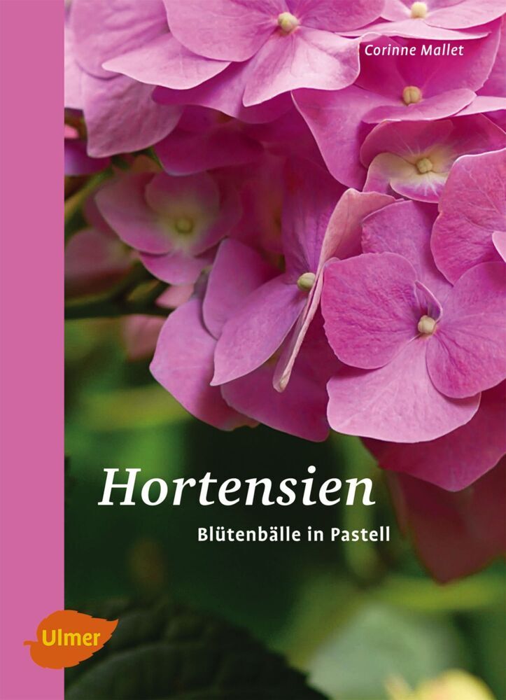 Hortensien (Corinne Mallet)