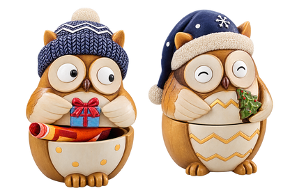 Geschenkdosen Eulenfreunde, 2er Set